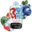 ELF BAR Combo Pro 30000 Watermelon Ice & Blueberry 5% Nikotin Einweg E-Zigarette Vape