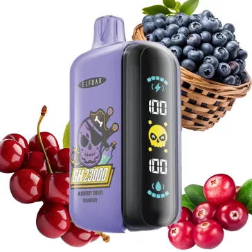 ELF BAR GH23000 Blueberry Cherry Cranberry 2% Einweg Vape, E-Zigarette