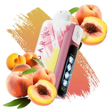ELF BAR Ice King 40000 Peach+ 5% Nikotin Einweg E-Zigarette Vape