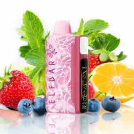ELF BAR Nicotine King 40000 Mixed Berries Tea Einweg E-Zigarette Vape