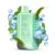 ELF BAR BC45000 - Double Mint 5%