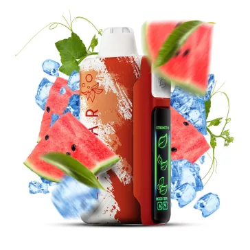 ELF BAR Nic King 30000 - Watermelon Ice 5%