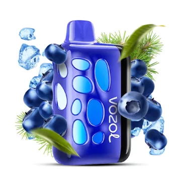 VOZOL RAVE 40000 - Blueberry Ice 5%