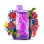VOZOL RAVE 40000 - Watermelon Razz Rancher 5%