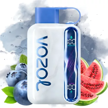 VOZOL STAR 40000 - Blueberry Watermelon 5%