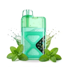 Vozol Neon 60000 Spearmint 5% Einweg Vape, E-Zigarette