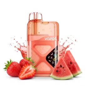 Vozol Neon 60000 Strawberry Watermelon 5% Einweg Vape, E-Zigarette
