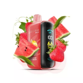 ELF BAR RAYA D3 25000 Strawberry Watermelon 5% Einweg Vape, E-Zigarette